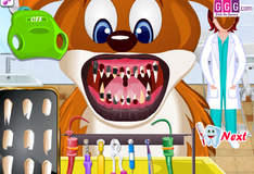 Игра зубной доктор для животных 
