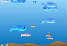 Игра Игра Аквариумные рыбки